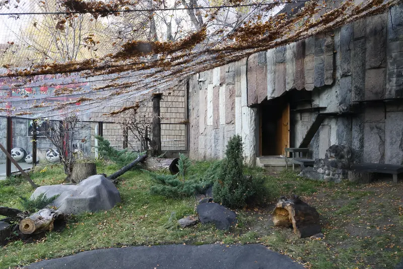 A photograph of Timofey in Moscow zoo