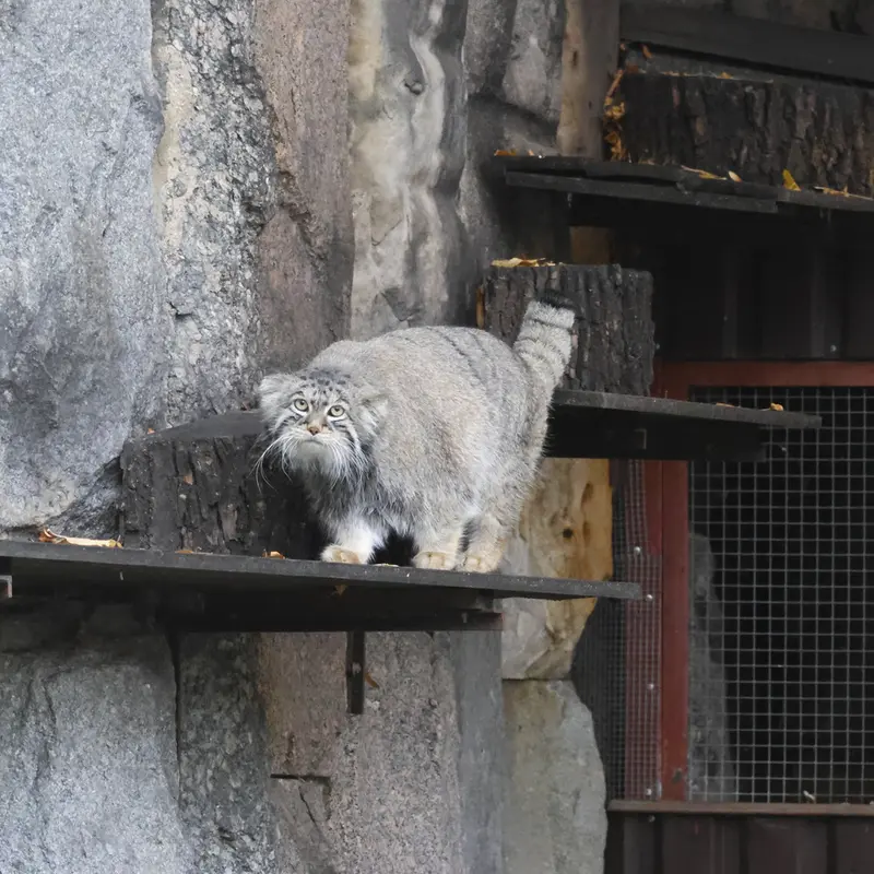 A photograph of Timofey in Moscow zoo