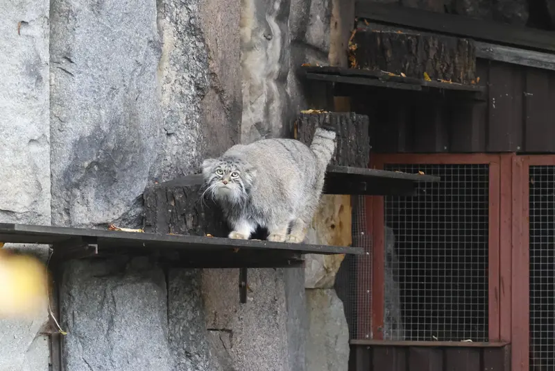 A photograph of Timofey in Moscow zoo