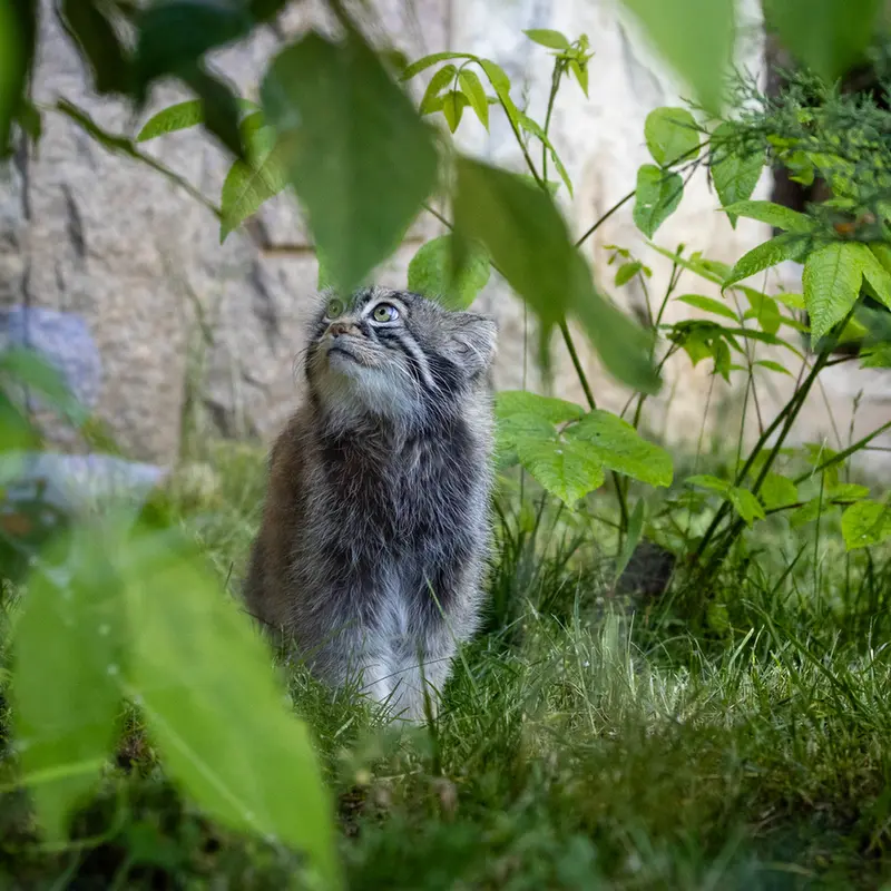 A photograph of Timofey in Moscow zoo