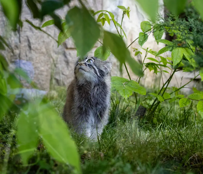 A photograph of Timofey in Moscow zoo