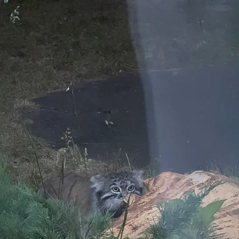 A photograph of Timofey in Moscow zoo