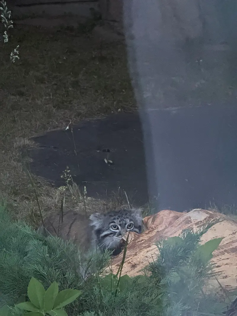 A photograph of Timofey in Moscow zoo