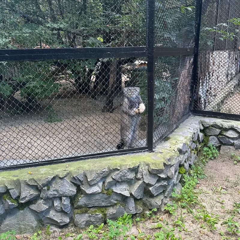 A photograph of Zosya in Novosibirsk Zoo