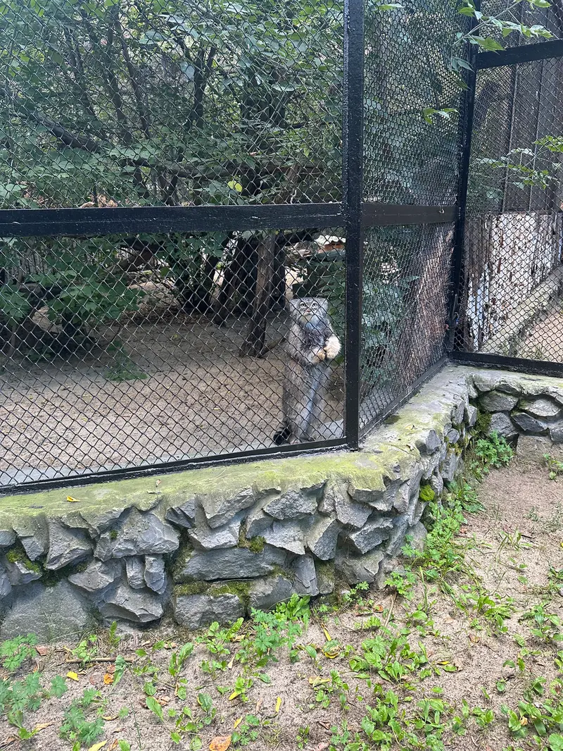 A photograph of Zosya in Novosibirsk Zoo