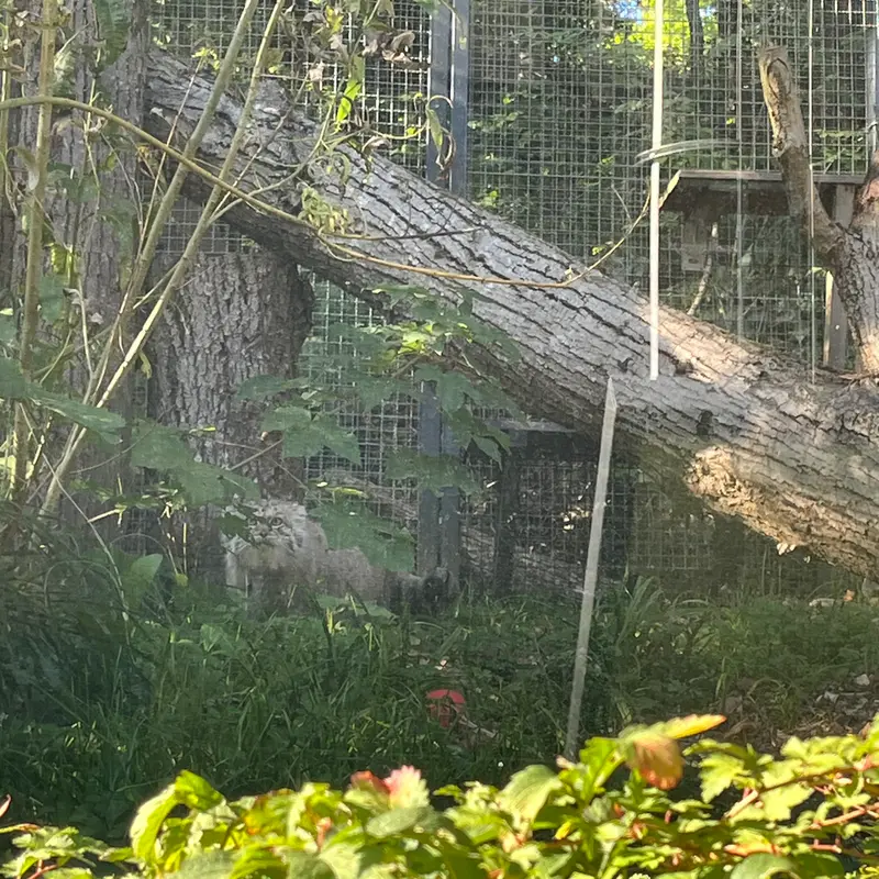 A photograph of Melissa in Lithuanian Zoo