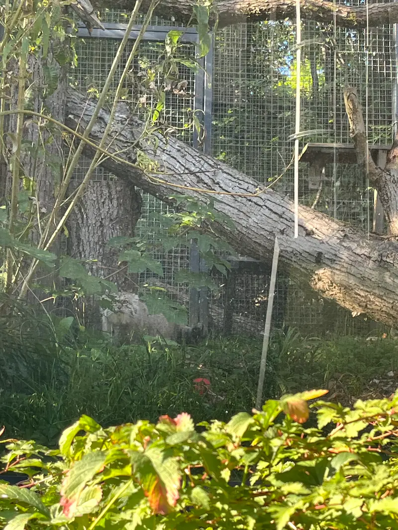 A photograph of Melissa in Lithuanian Zoo