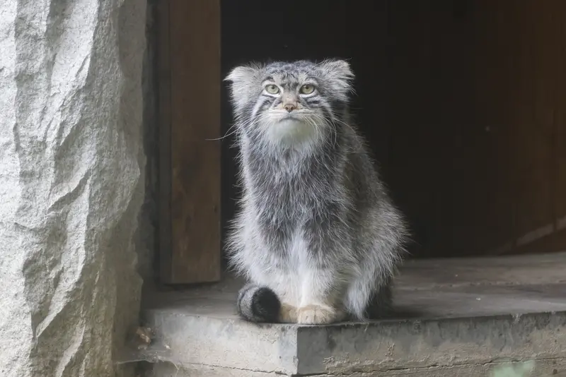 A photograph of Timofey in Moscow zoo