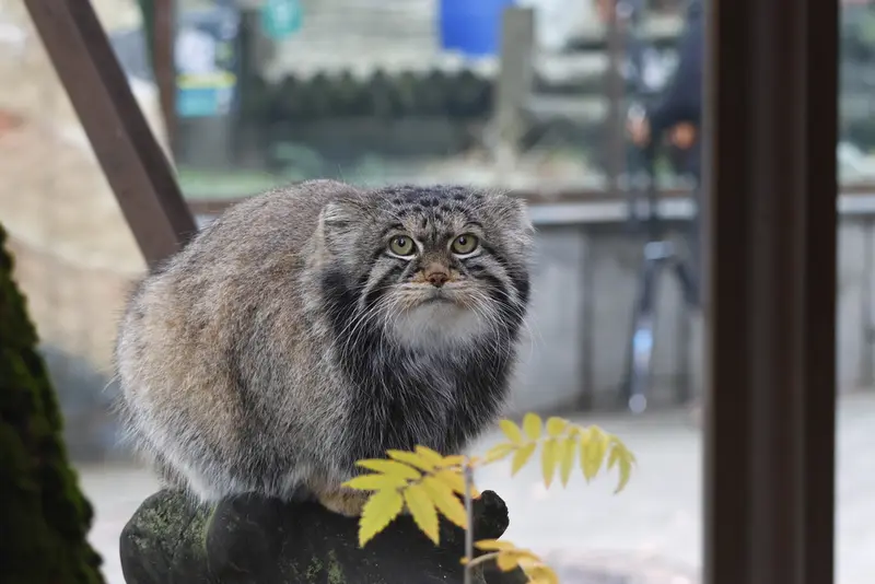 A photograph of Timofey in Moscow zoo