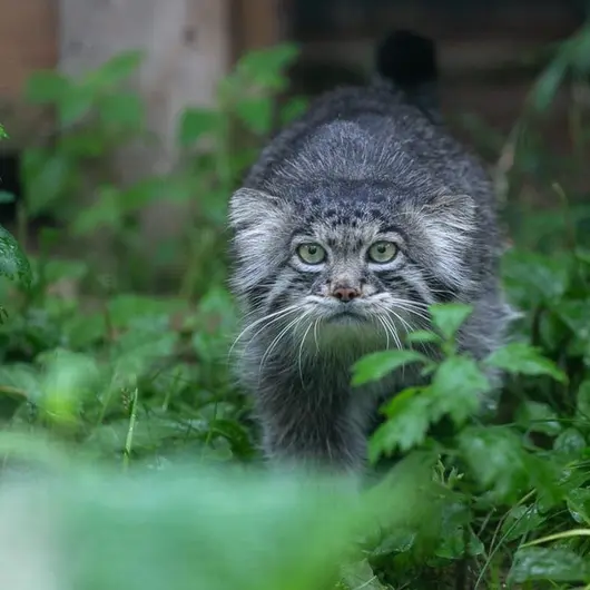A photograph of Timofey in Moscow zoo