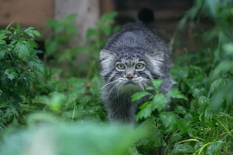 A photograph of Timofey in Moscow zoo