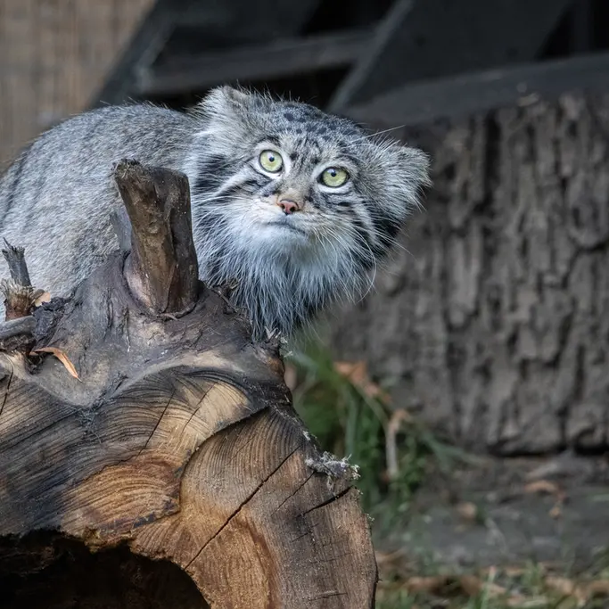 A photograph of Timofey in Moscow zoo