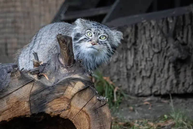 A photograph of Timofey in Moscow zoo
