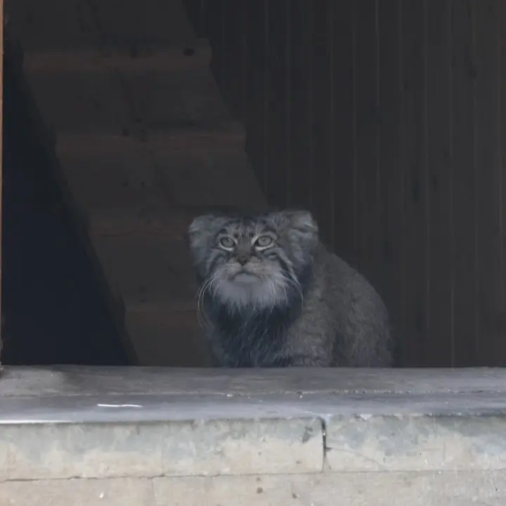 A photograph of Timofey in Moscow zoo