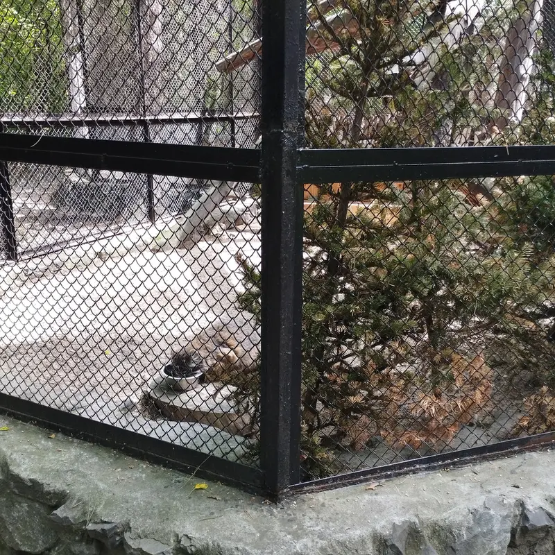 A photograph of Zelenogorsk in Novosibirsk Zoo