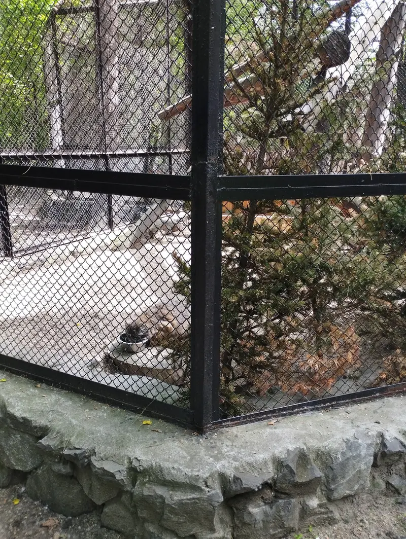 A photograph of Zelenogorsk in Novosibirsk Zoo