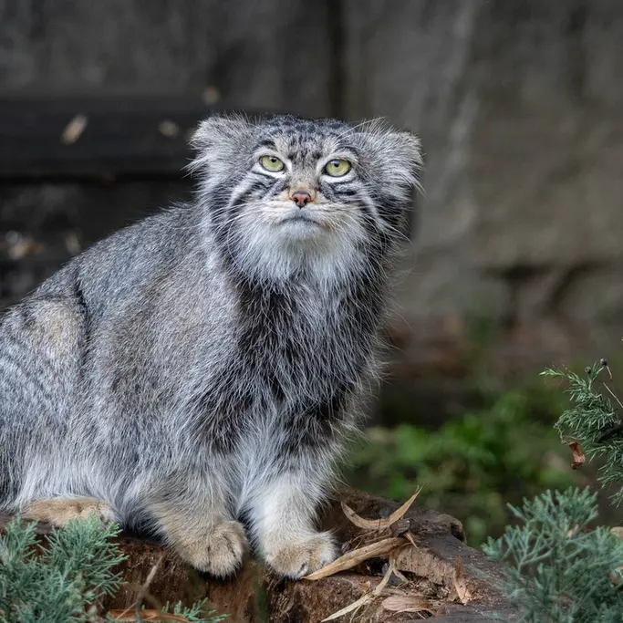 A photograph of Timofey in Moscow zoo