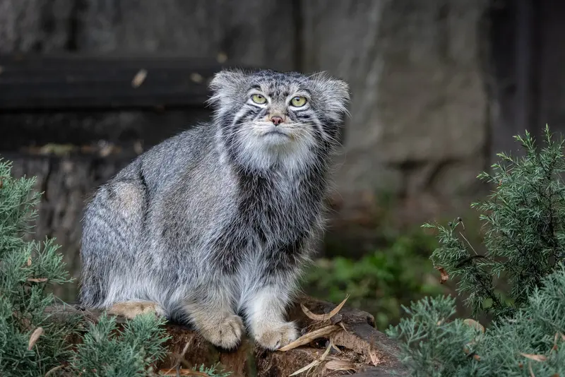 A photograph of Timofey in Moscow zoo