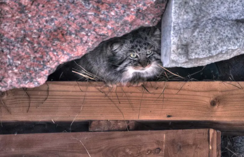 A photograph of Darlay in Moscow zoo