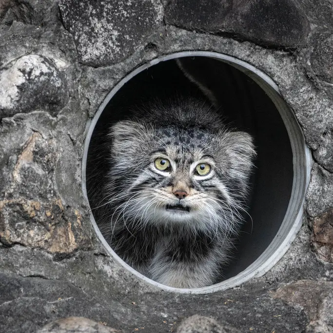 A photograph of Timofey in Moscow zoo