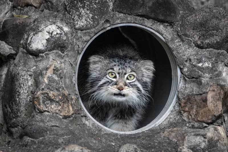 A photograph of Timofey in Moscow zoo