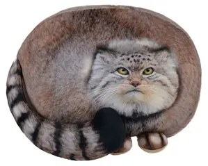 A photograph of a Pallas's cat