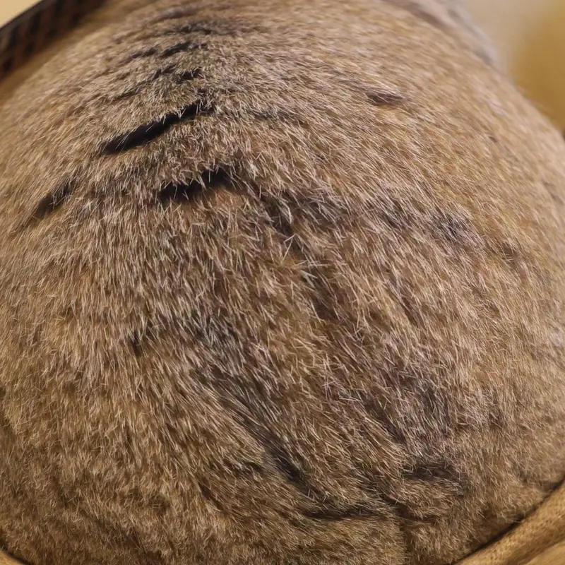 A photograph of Oliva in Saitama Children's Zoo