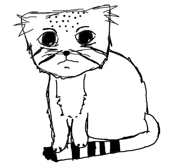 drew a manul for the first time