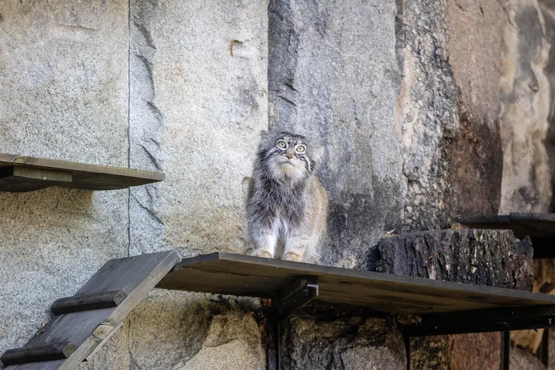 A photograph of Timofey in Moscow zoo