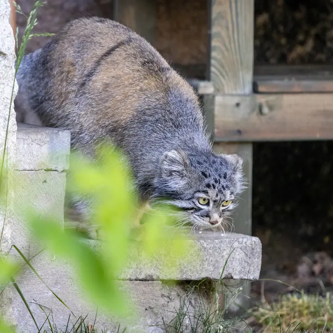 A photograph of Timofey in Moscow zoo