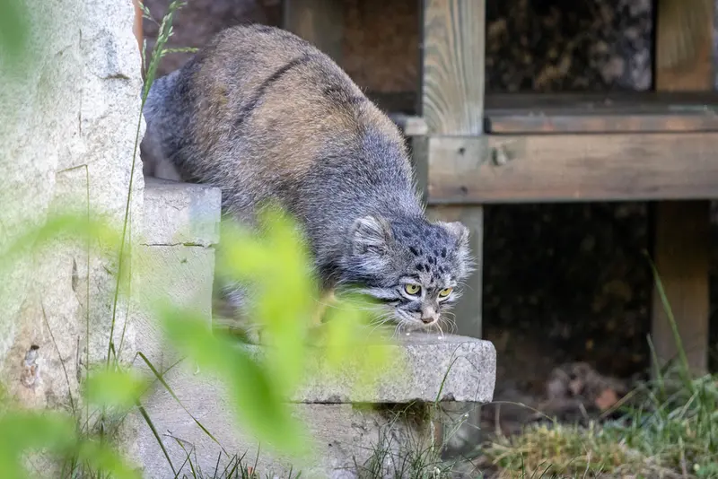 A photograph of Timofey in Moscow zoo