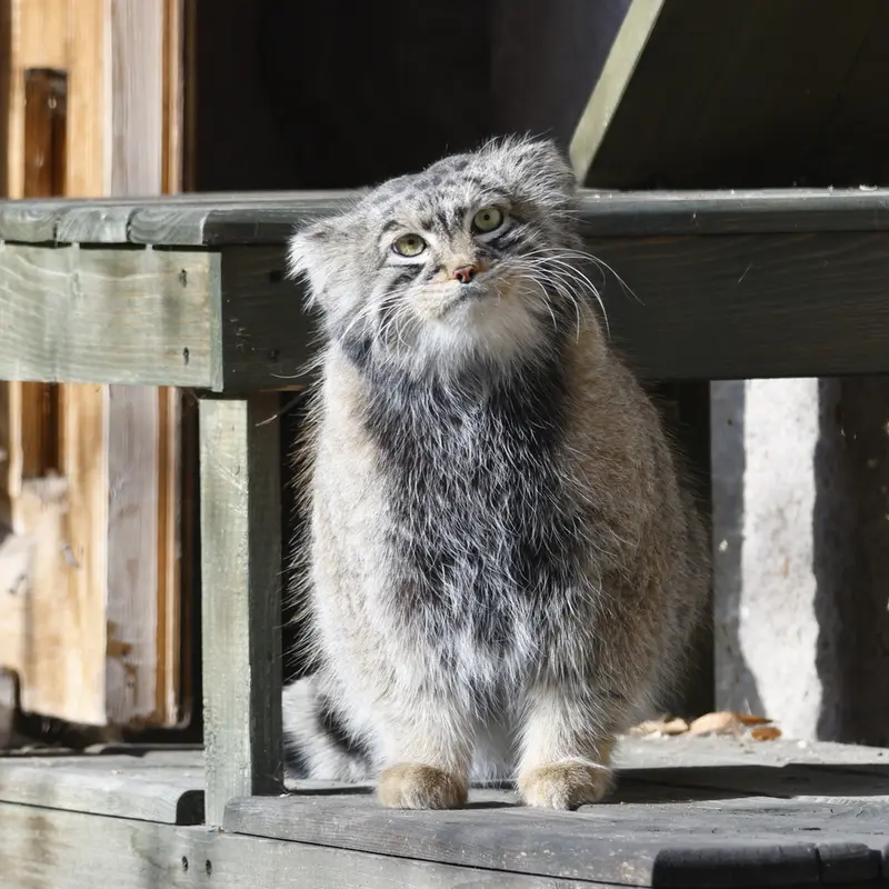 A photograph of Timofey in Moscow zoo