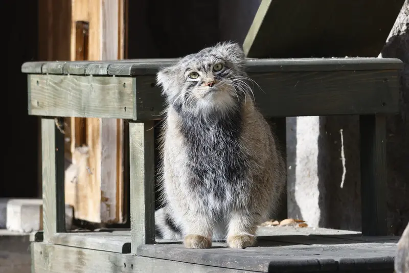 A photograph of Timofey in Moscow zoo