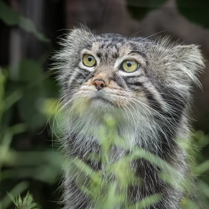 A photograph of Timofey in Moscow zoo