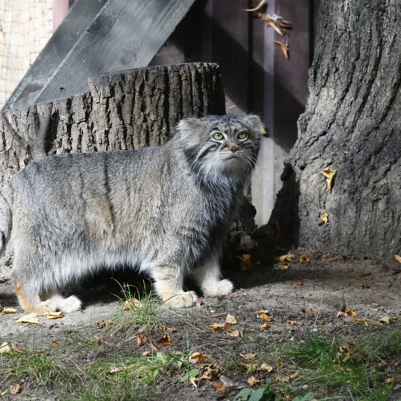 A photograph of Timofey in Moscow zoo