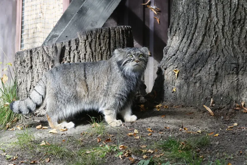 A photograph of Timofey in Moscow zoo