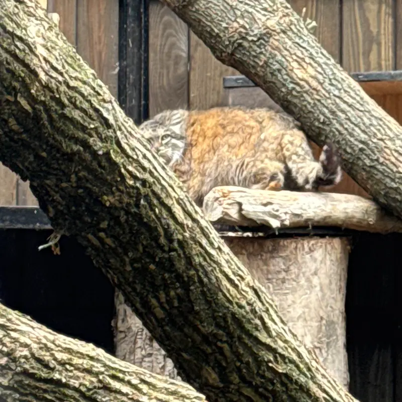 A photograph of Jessie in Warsaw Zoo