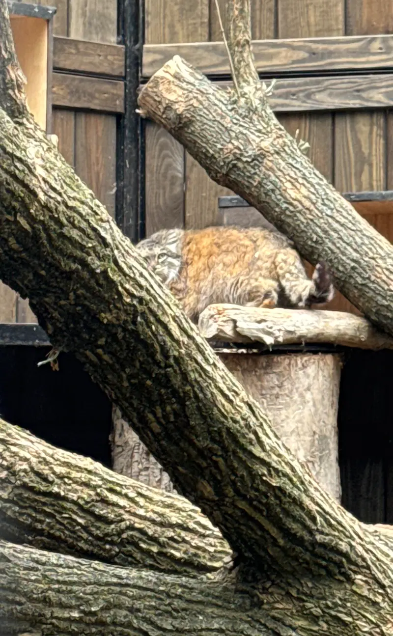A photograph of Jessie in Warsaw Zoo