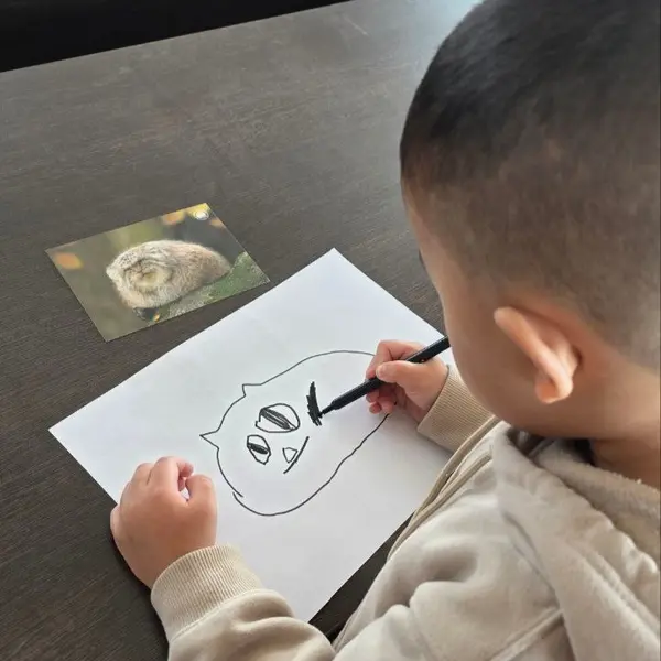 A photograph of a Pallas's cat