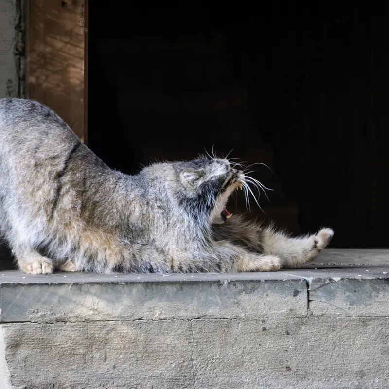 A photograph of Timofey in Moscow zoo