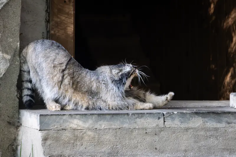 A photograph of Timofey in Moscow zoo
