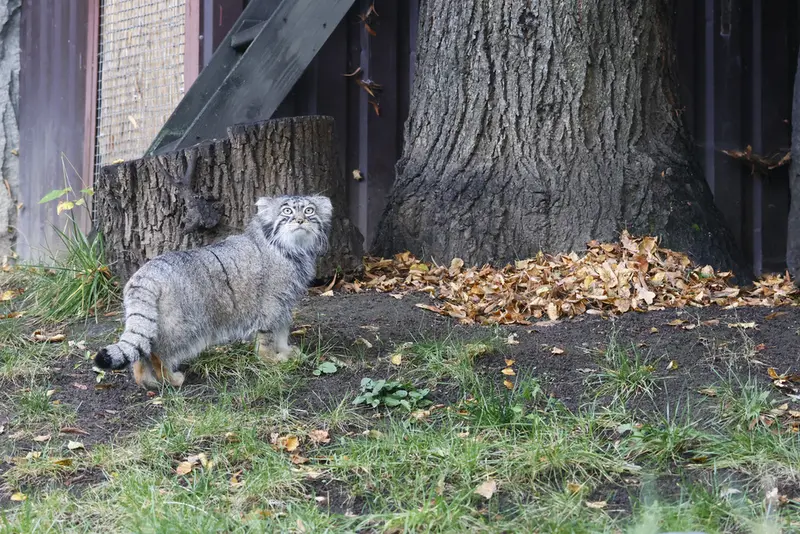 A photograph of Timofey in Moscow zoo