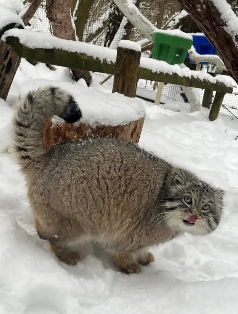 A photograph of Dean in Oglebay Good Zoo