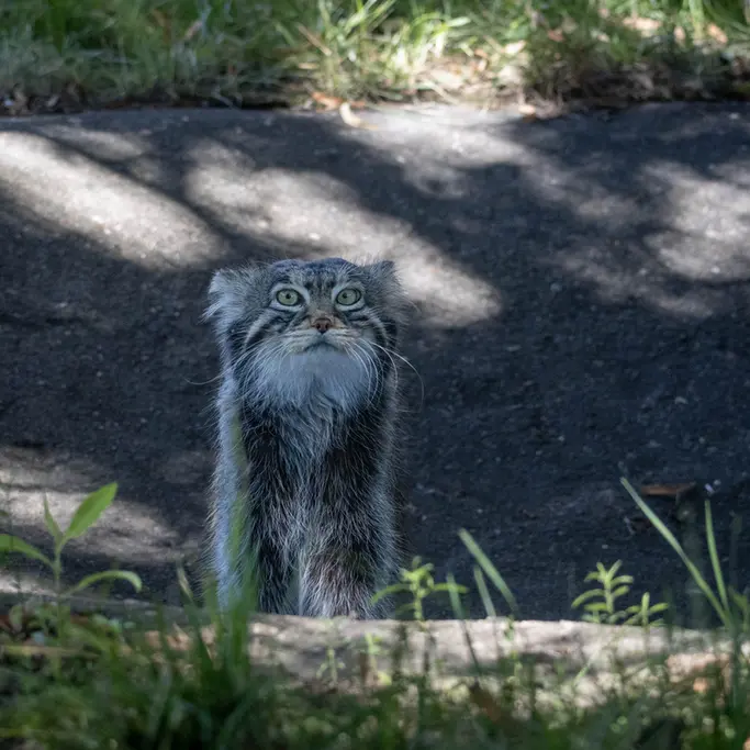 A photograph of Timofey in Moscow zoo