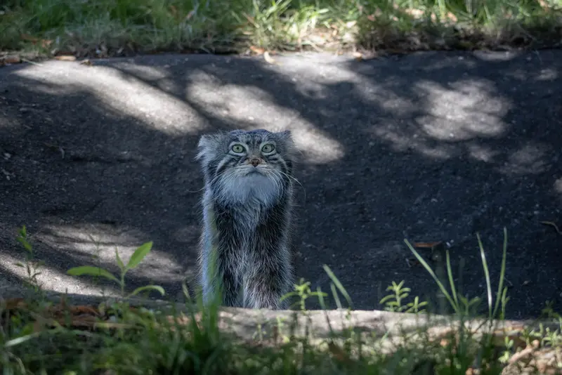 A photograph of Timofey in Moscow zoo
