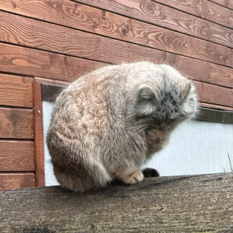 A photograph of Manuel in Gdansk Zoo