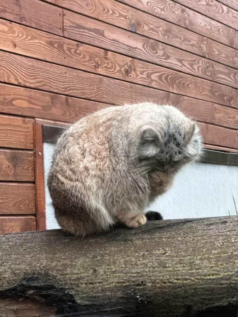 A photograph of Manuel in Gdansk Zoo