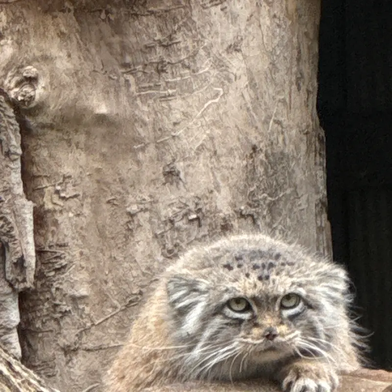 A photograph of Jessie in Warsaw Zoo