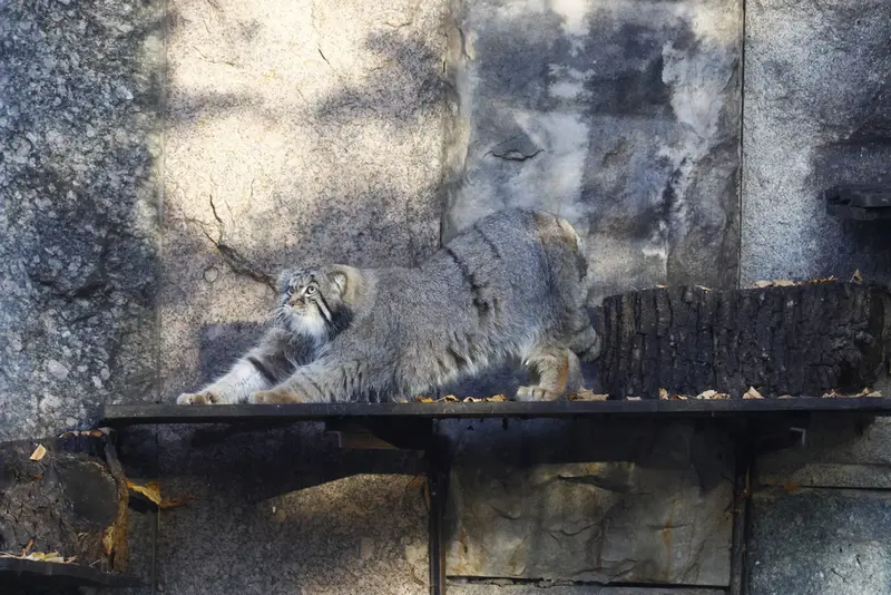 A photograph of Timofey in Moscow zoo