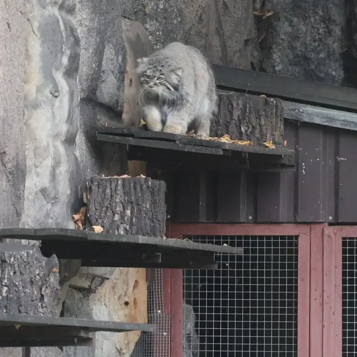 A photograph of Timofey in Moscow zoo